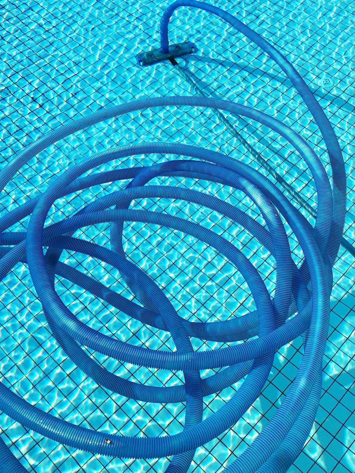 Pool vacuum cleaner in a swimming pool